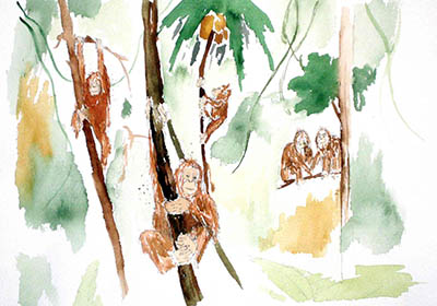 aquarell-on-paper-monkeys