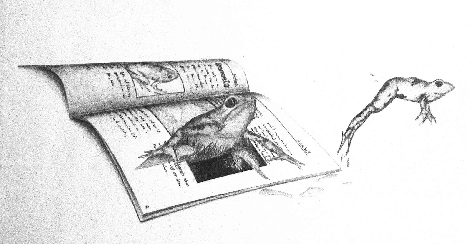 pencil on paper a drawn frog jumping out of a book