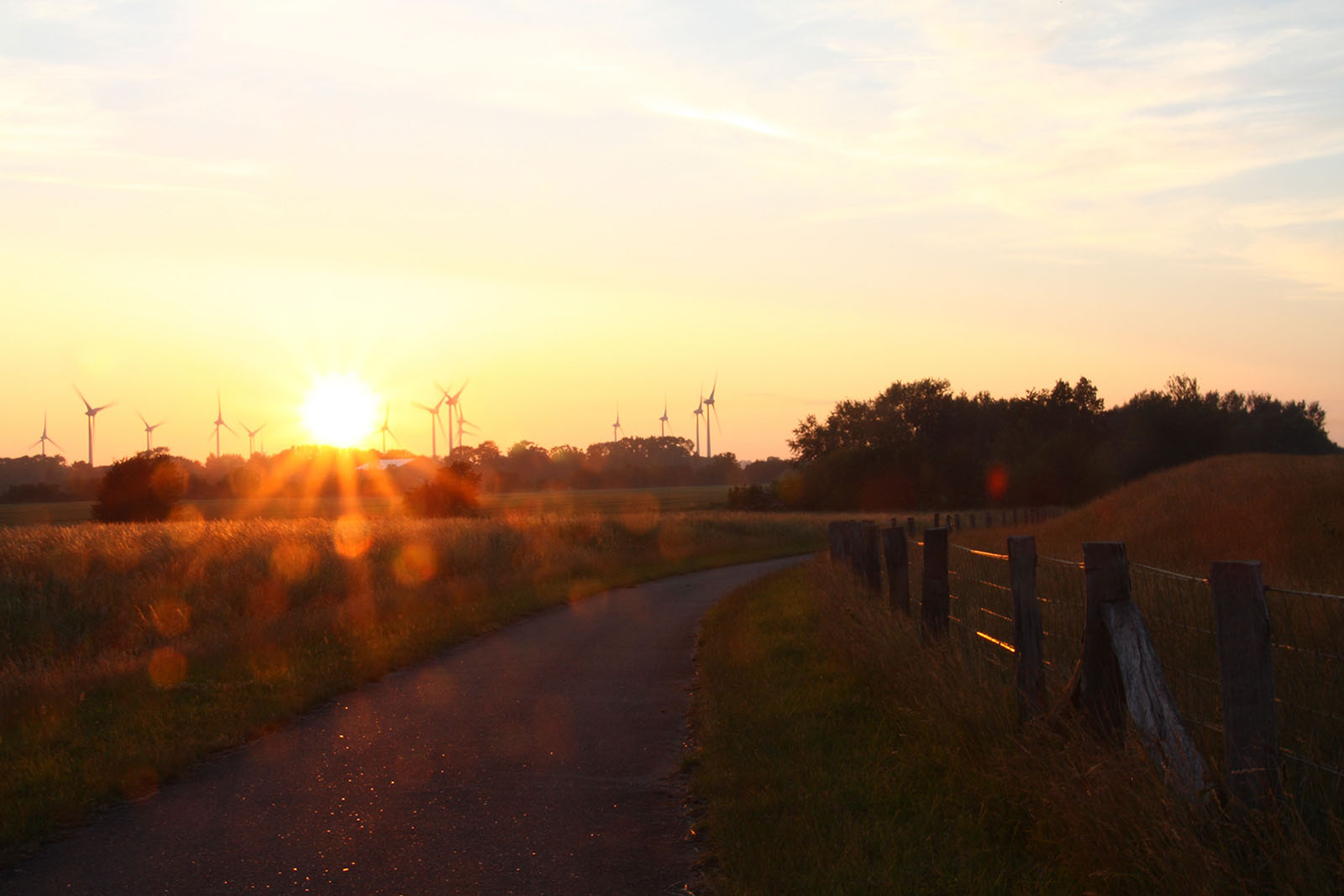 Fehmarn Ostküste Feldweg