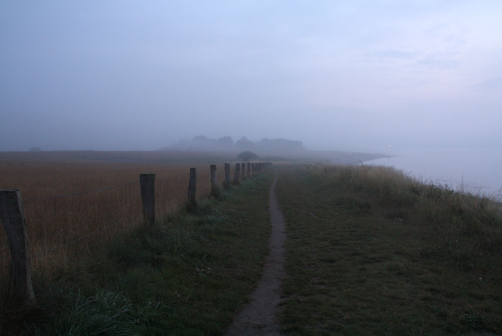 Fehmarn Ostküste Feldweg