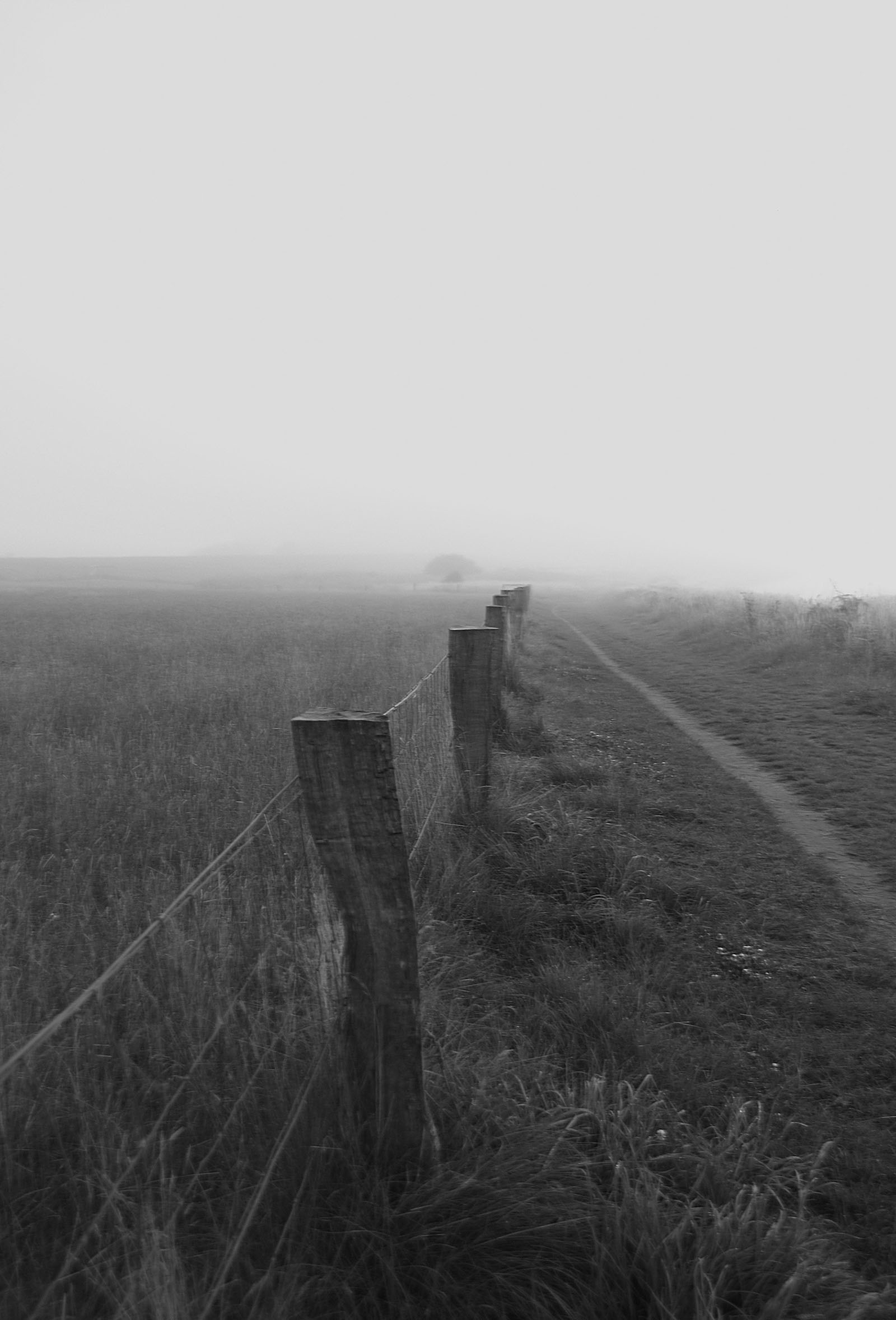 Fehmarn Ostküste Feldweg schwarz weiß