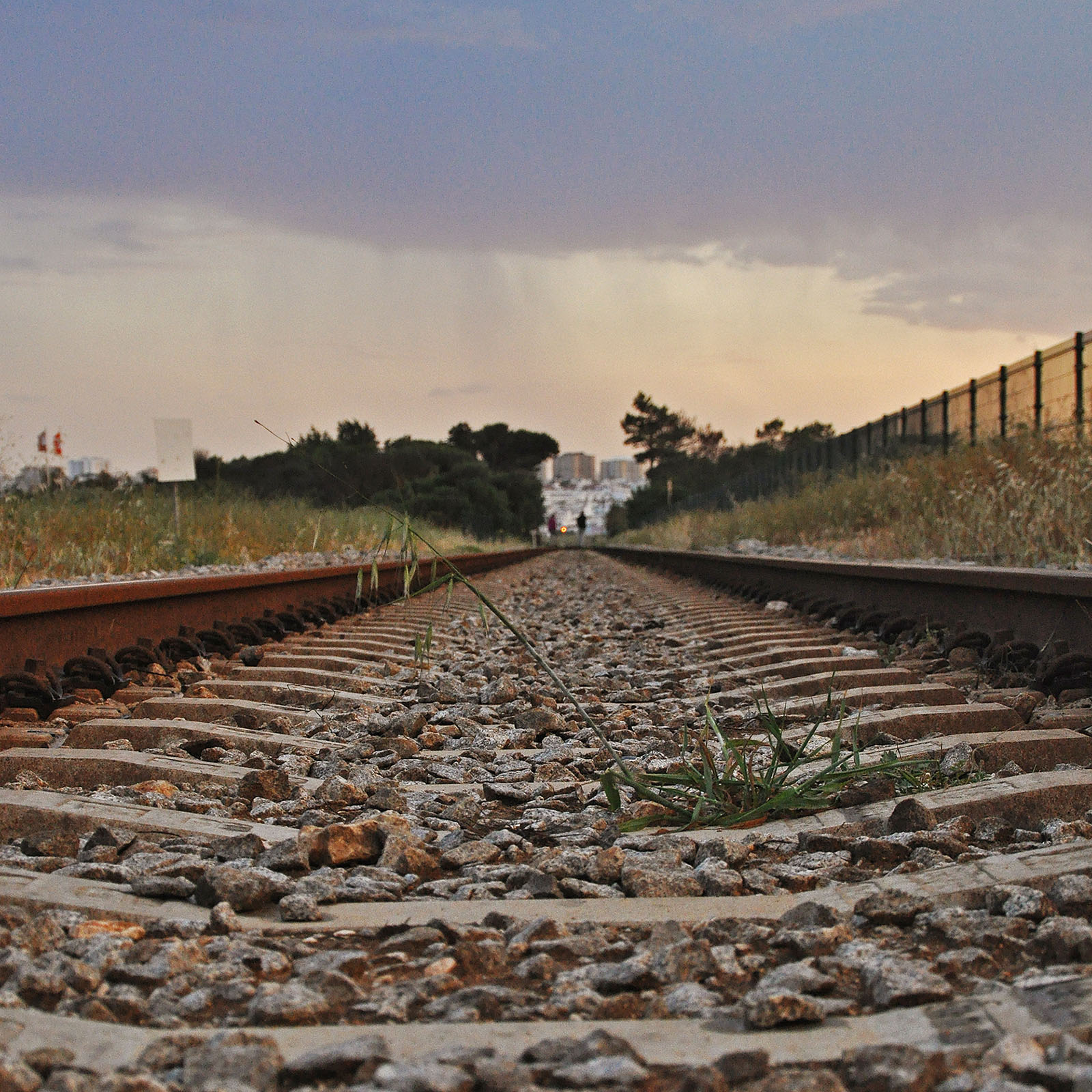 Foto portugal