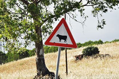 Foto portugal