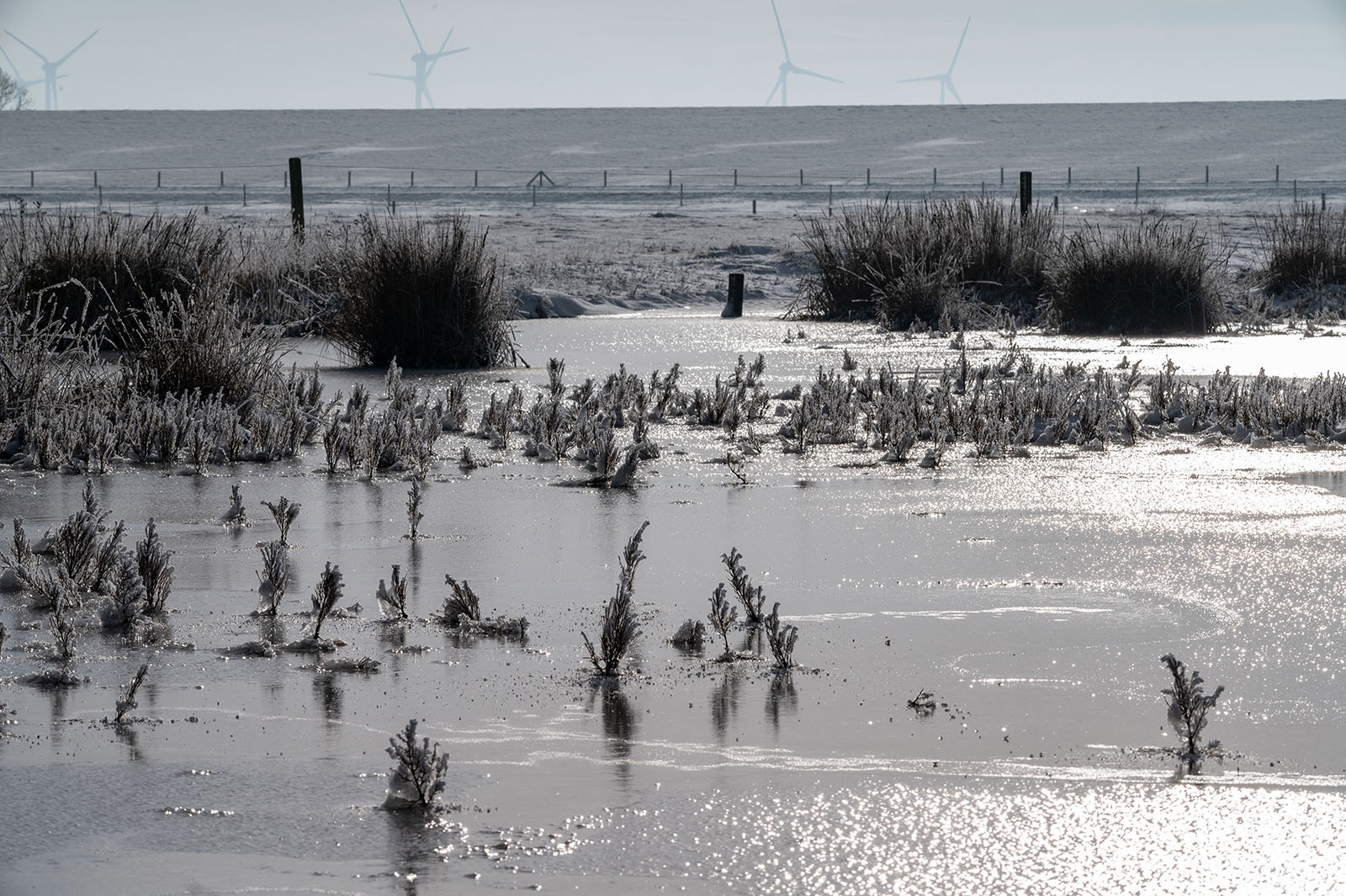 Foto 2021-01-nationalpark-nordsee