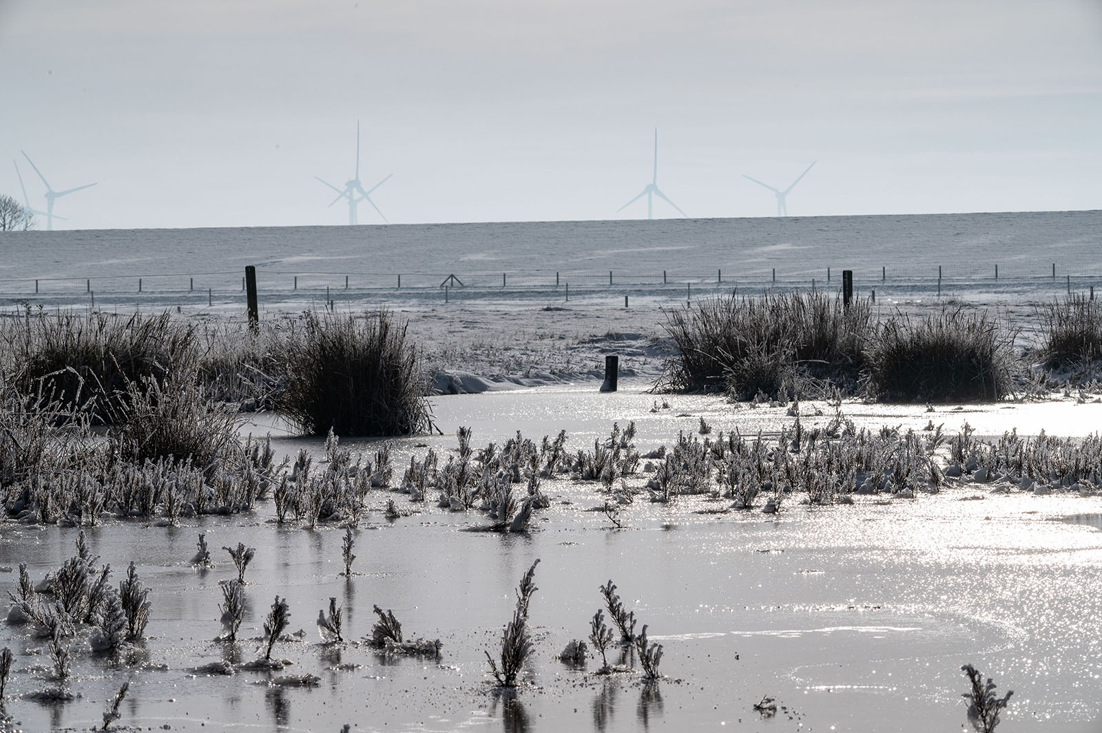 Foto 2021-01-nationalpark-nordsee