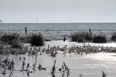 Foto 2021-01-nationalpark-nordsee